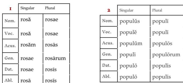 Declinaciones latín. (1-2)
