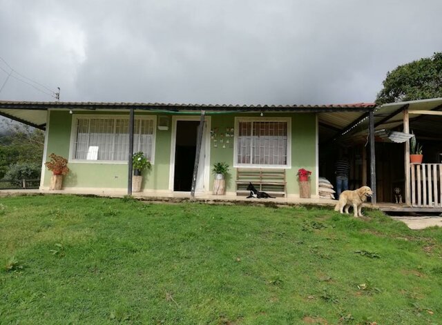 Viajé por primera vez a Silvania