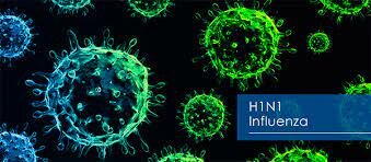 Ingreso del virus AH1N1