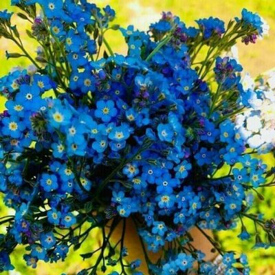 Timeline: web.20 ტექნოლოგია