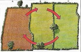 Three field system spread in Europe