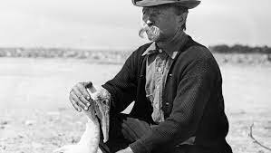 Pelican Island, Florida named first national wildlife refuge