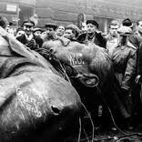 Hungarian Revolution of 1956