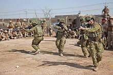 U.S.-led Intervention in Iraq