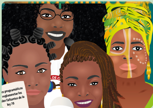 Afros: Ley 649 de 2001