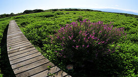 Timeline: სახელმწიფო ნაკრძალი