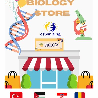 Timeline: მიანიჭე ქაღალდს მეორე სიცოცხლე