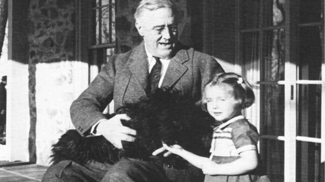 Creació d'una assegurança d'atur