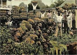 masacre las bananeras