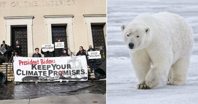 Se aprobó el proyecto willow