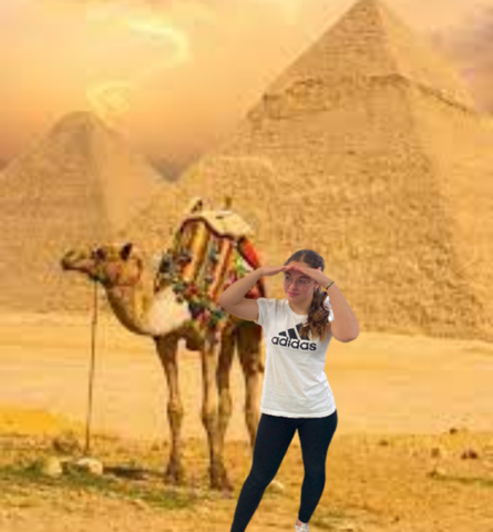 we went to see some camels