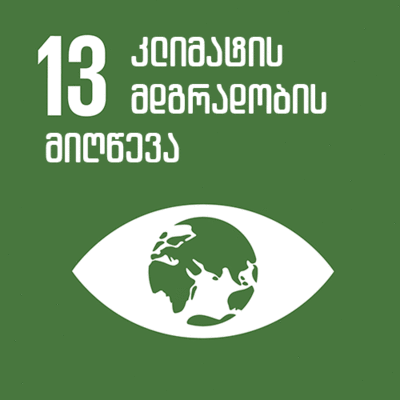 Timeline: მიზანი 13