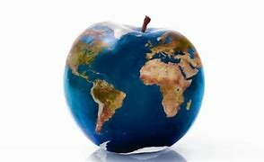 პროექტის დასრულება