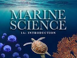 work as an intern in science of the ocean
