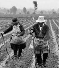 La revolucion neolitica