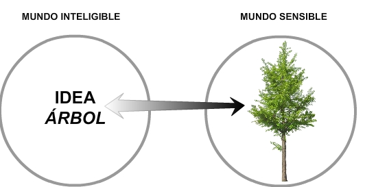 Platón pensamiento