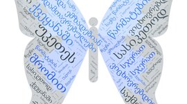 Timeline: აქტივობები