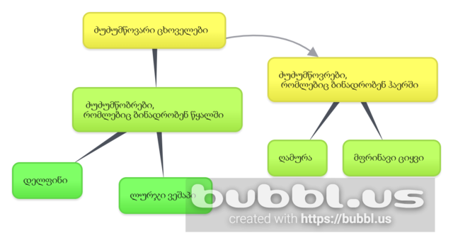 აქტივობა დრევანდელი ნარჩენი ხვალინდელი რესურსი