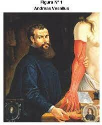 Anatomia (Vesalius)