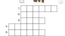 Timeline: ტრენინგი web2.0