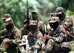 Surgimientos de la guerrilla