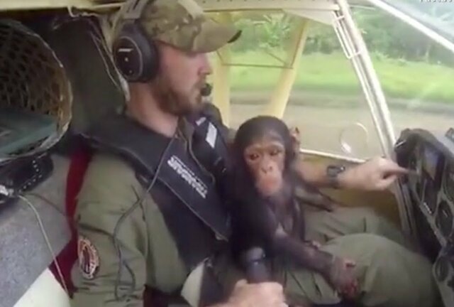 Mi llegada a Colombia