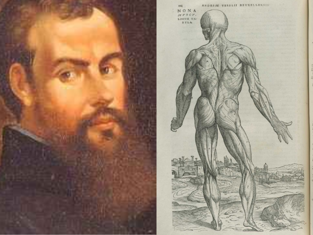 Vesalius descriu l'anatomia i realitza les primeres disseccions