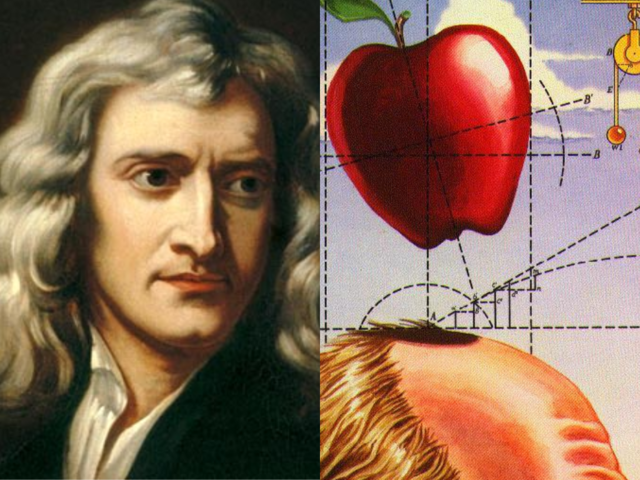 Newton formula la llei de la gravitació universal