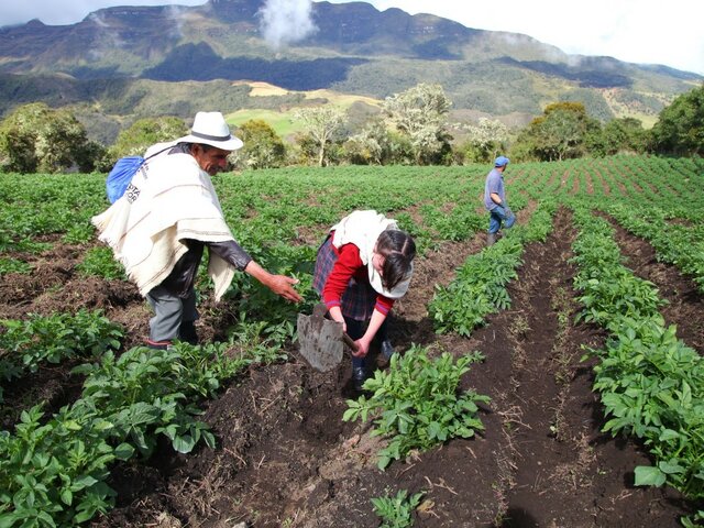 COMUNIDADES RURALES CAMPESINAS