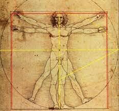 Creació de l'Home de vitruvi de Leonardo da Vinci