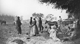 Timeline: Història de l' esclavitud