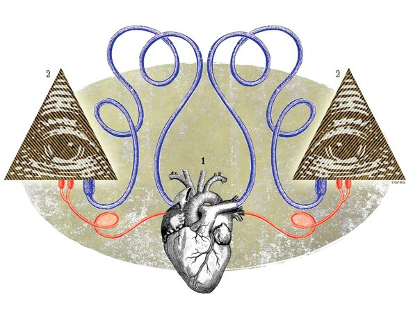 Servet descobreix la circulació pulmonar de la sang