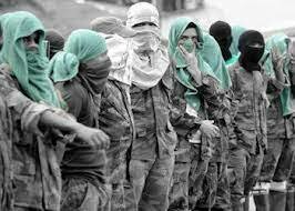 Coformación de Los Rastrojos