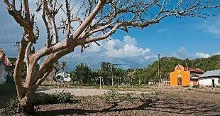 La Masacre de Las Gaitanas