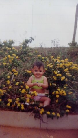 Do Paraguai a Minas Gerais