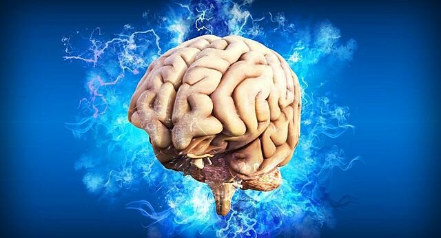 Surgimiento del primer cerebro