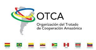Hito 3 Tratado de cooperación Amazónica TCA.