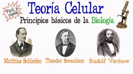Timeline: La Teoría Celular