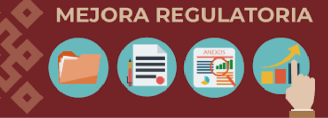 2013:Ley General de Mejora Regulatoria