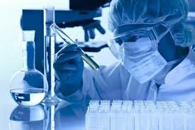 Els diferents descobriments científic