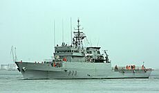 Inicio de la guerra del fletán