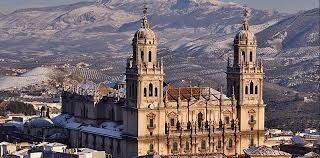 Órgano nuevo de la Cadetral.