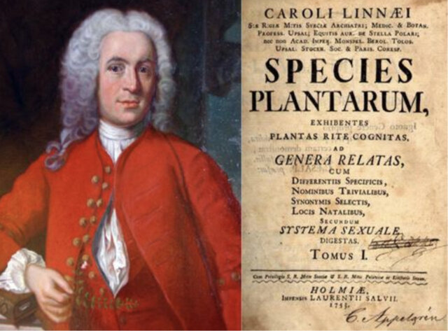 Karl von Linné
