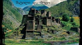 Timeline: ტრენინგის განრიგი