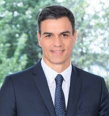 ELECCIONES ANTICIPADAS