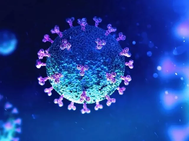 DÍA DE DECLARACIÓN PANDEMIA MUNDIAL 11 DE MARZO DE 2020