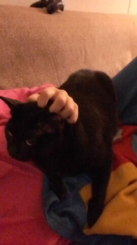 Falta de espacio personal