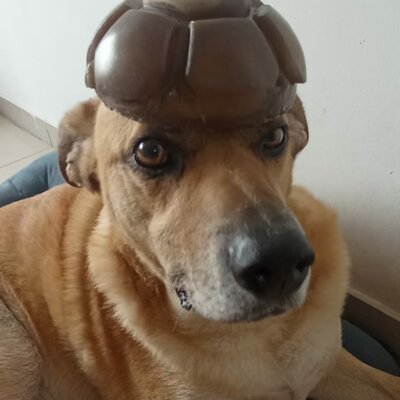 Timeline: modelos atomicos