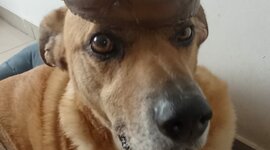 Timeline: modelos atomicos