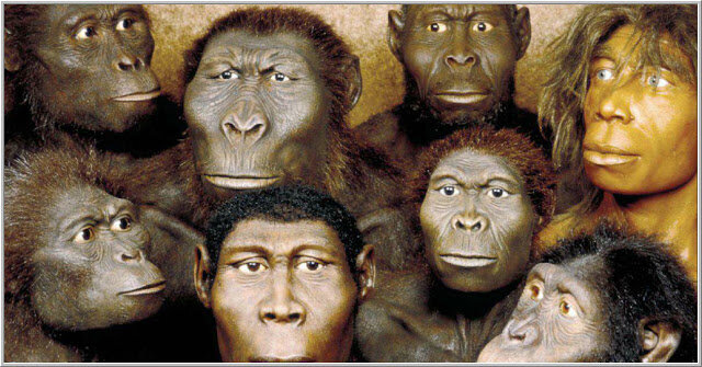 El surgimiento de los homínidos